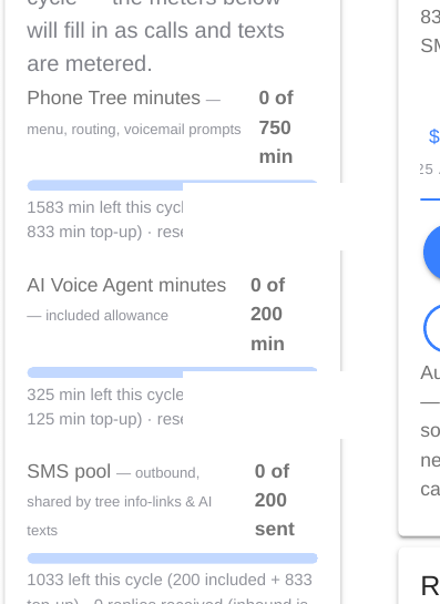 Usage meters for Phone Tree minutes, AI Voice Agent minutes, and SMS pool